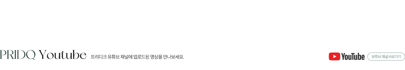 프리디크 유튜브