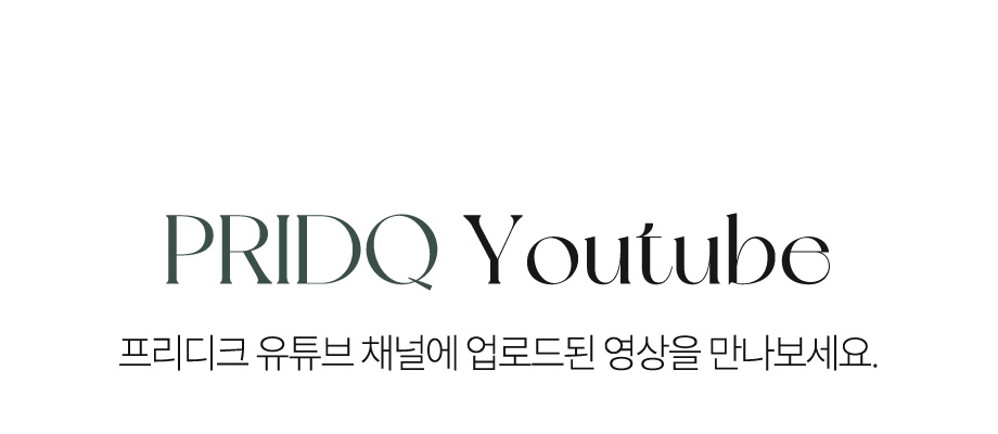 프리디크 유튜브